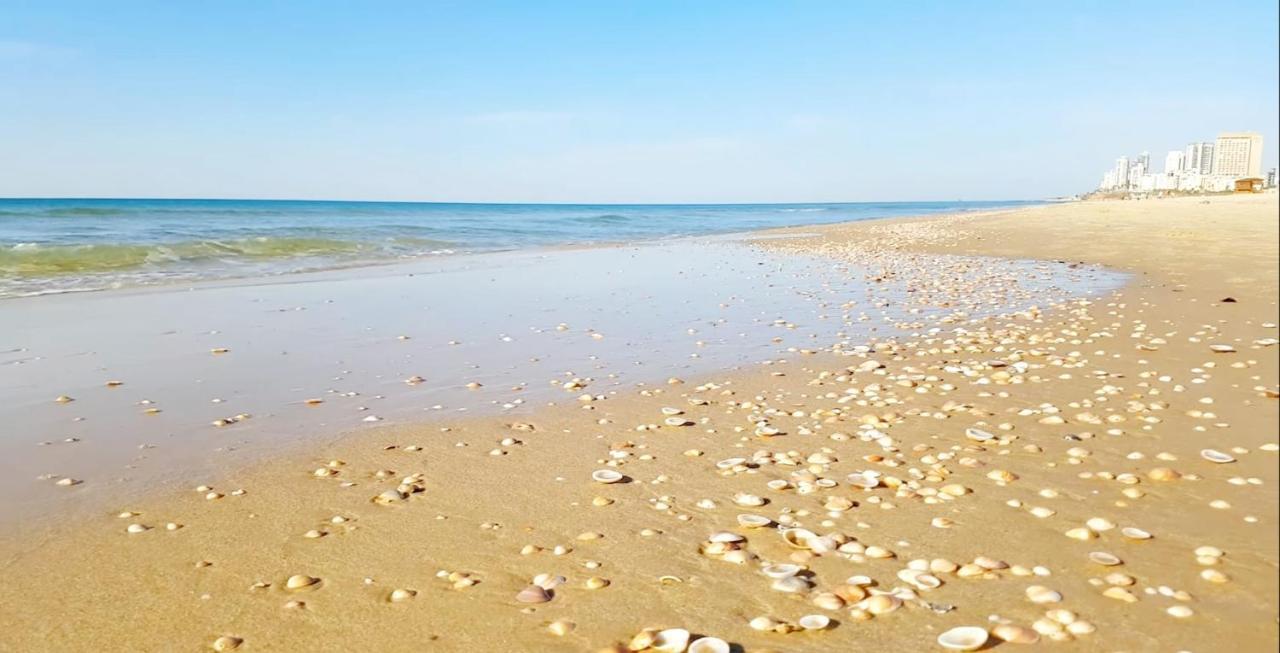 Beachfront Studio Apartment Bat Yam 412 Kültér fotó